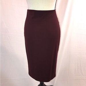 Alexander Wang Skirt